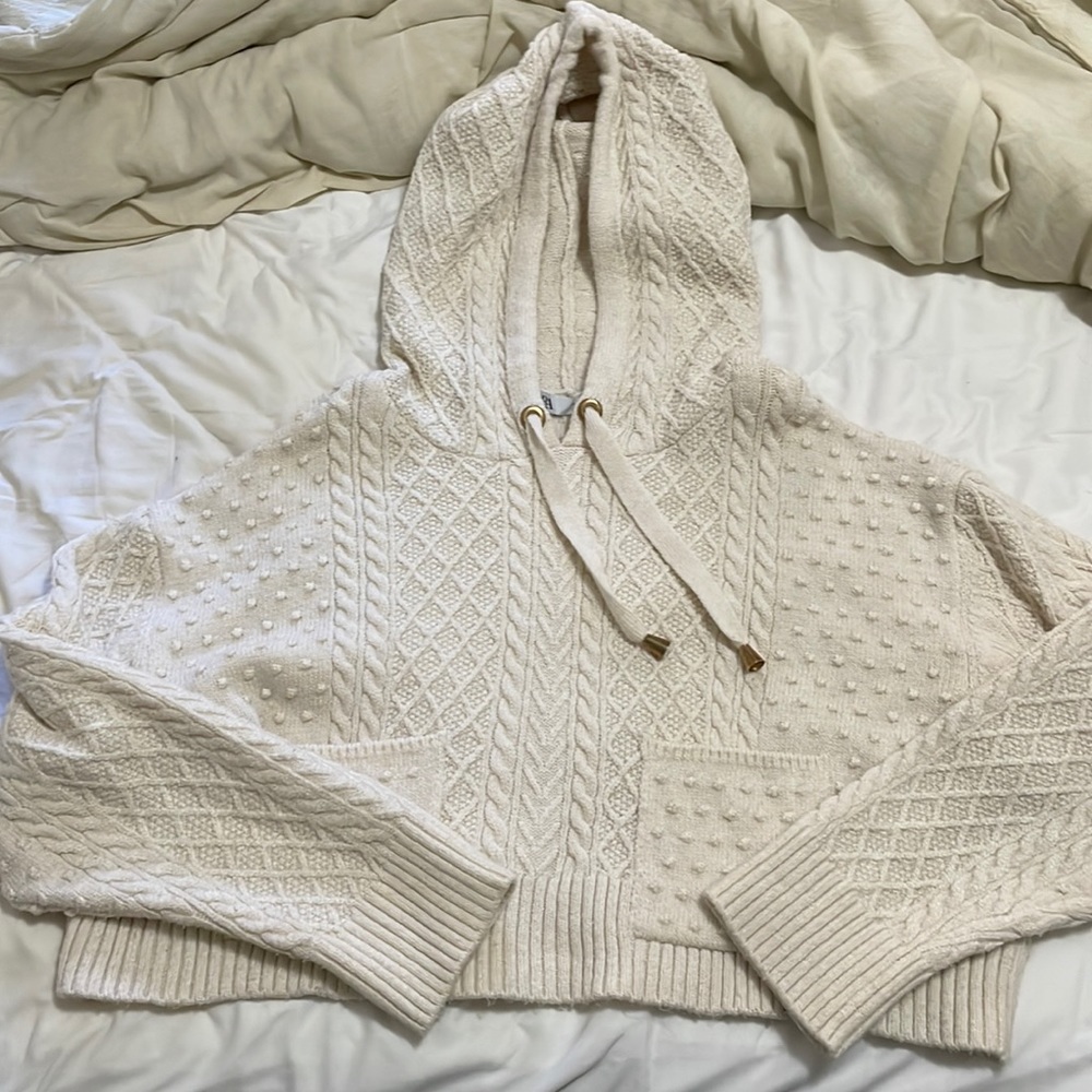 Zara sweater hoodie